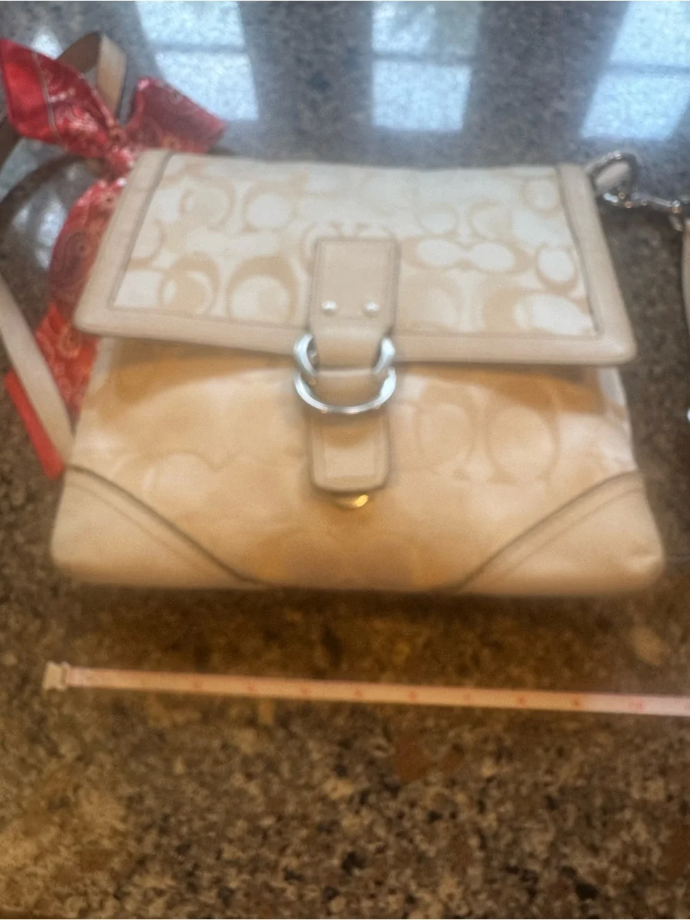 Coach vintage 2006